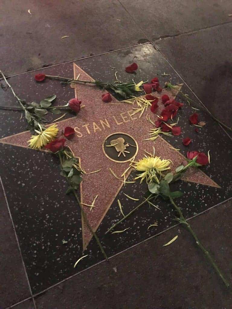 Flowers left by David Pepose on Stan Lee's star on the Hollywood Walk of Fame
