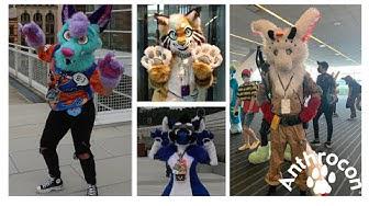 'Video thumbnail for Anthrocon 2022 Cosplay'